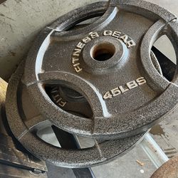 45lb Olympic Weights Plates