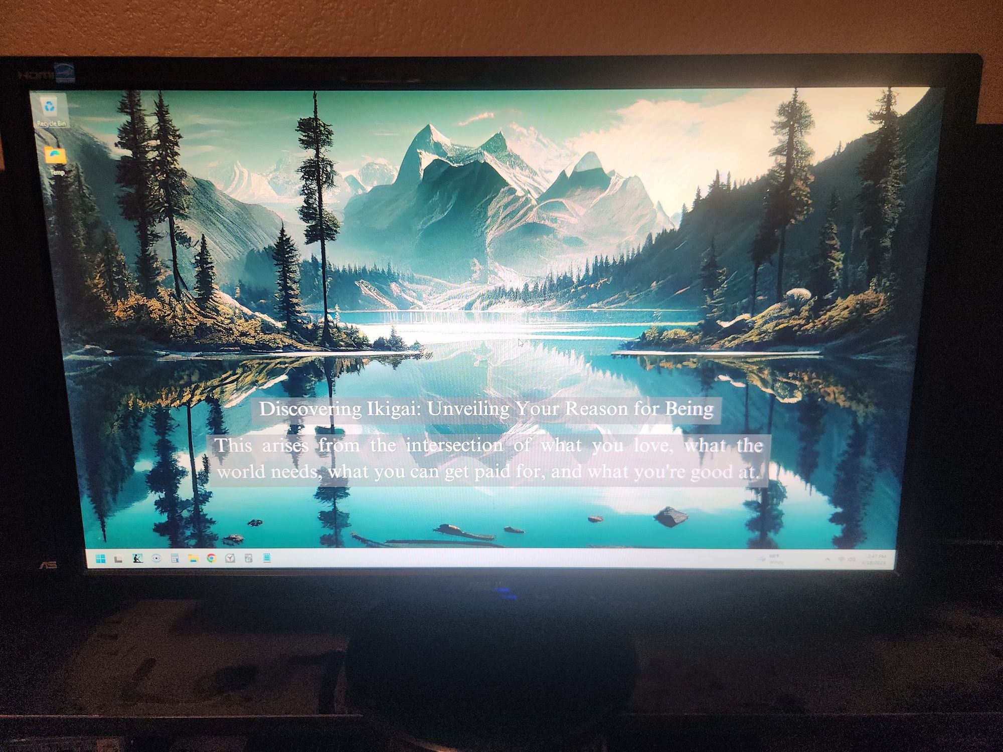 Asus Computer Monitor 24”