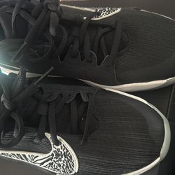 Nike Air Zoom Greek Freak 2 Giannis Black White