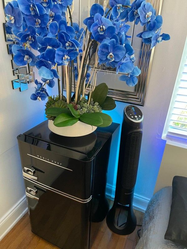 Mini Fridge 