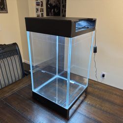 Fish Tank