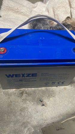 WEIZE 12V 100Ah LiFePO4 Lithium Battery, Upgrade Mini Size & Lightweight, 100A Smart BMS, Deep Cycle Low Temperature Protection Battery