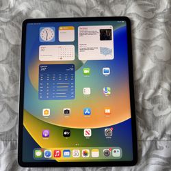 iPad Pro 12.9 Inch Sixth Gen with 512 GB and Apple Pencil 