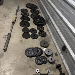 Assortment of Weight Plates 