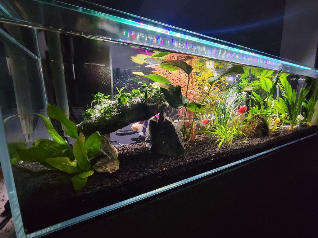 Uns 12 Gallon Long