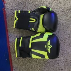 Used Boxing Gloves