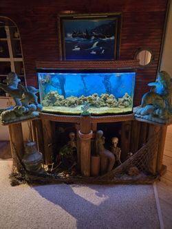 Large 4-foot bowfront saltwater fish tank (estimated 80–90 gallons)