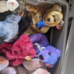 Medium Beanie Babies Bears Must See