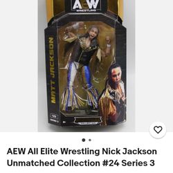 WWE Dolls Brand New In Box