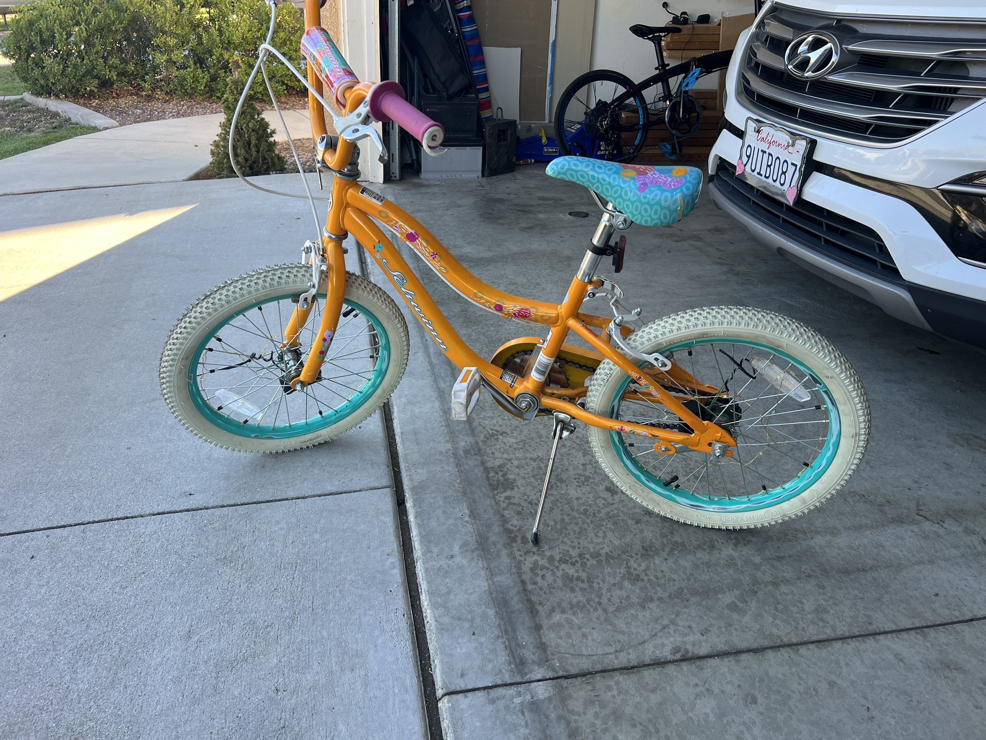 20” Schwinn Kids Bike