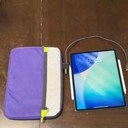 Apple iPad Pro (4th Gen) 12.9” WiFi+Cellular 1TB ;With two Apple Pencils, Charger, and sleeve case.