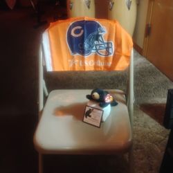 Bears Fans Beanie Baby 