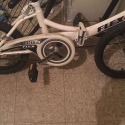 Flex Folding Bike