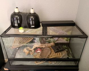 Reptile tank