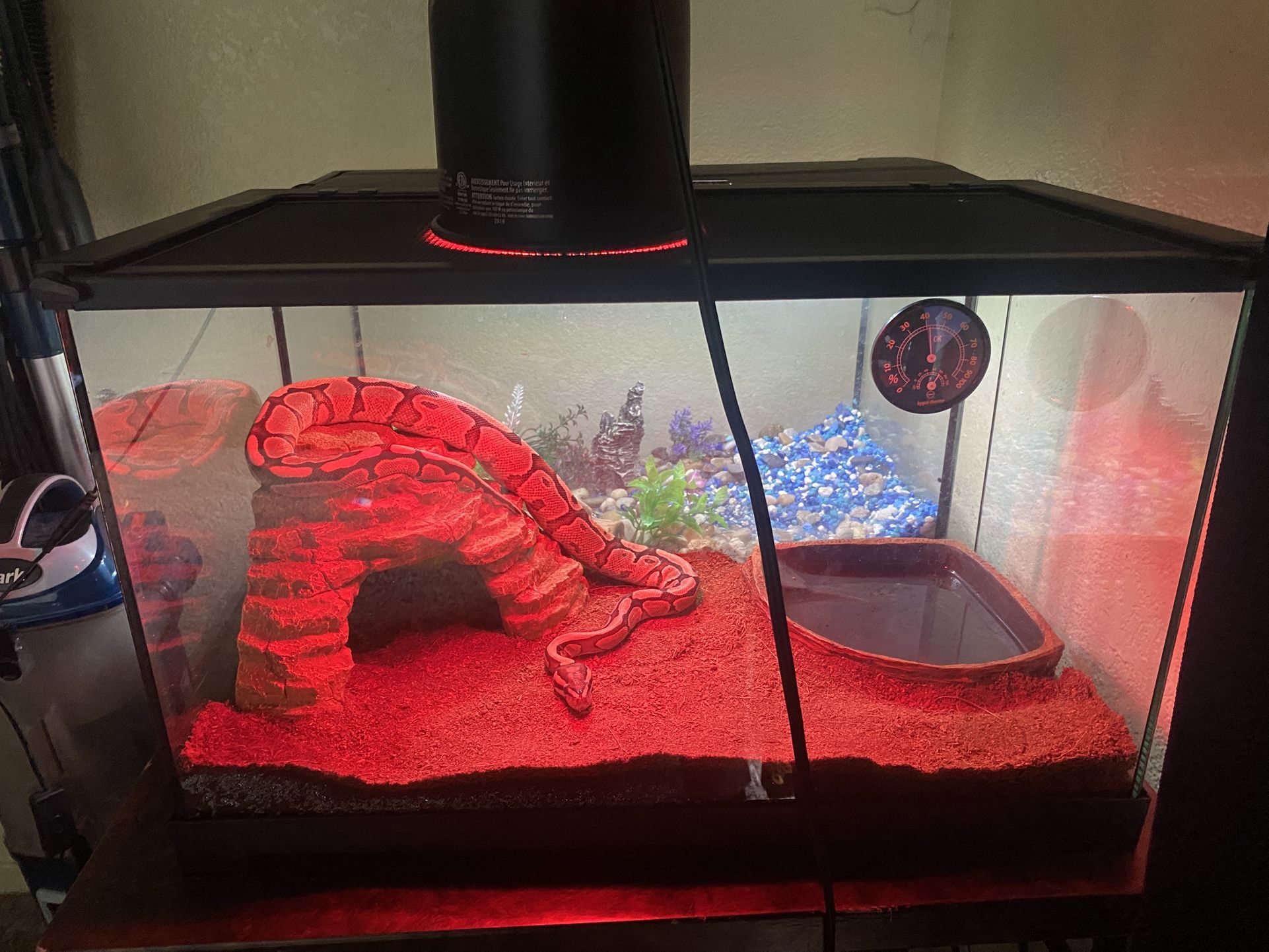 Good Size Tank 