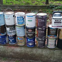 Paint And Stain
