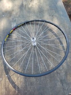 Campagnolo Ceramic Rim 
