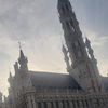 Belgium Lover