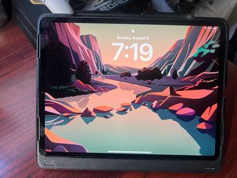 iPad Pro 4th Gen