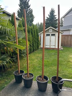 Pots with wood pole-pending