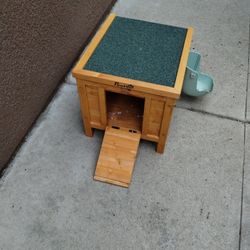Cat House Or Bunny House