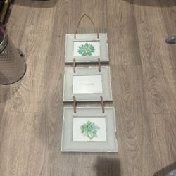 Thomasville Hanging Frames 