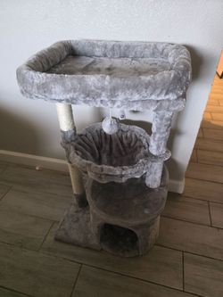 Cat house