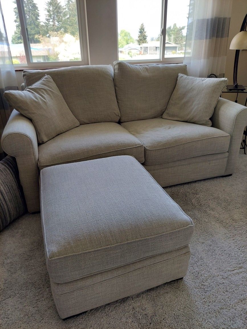 Couch And Chair For Sale.