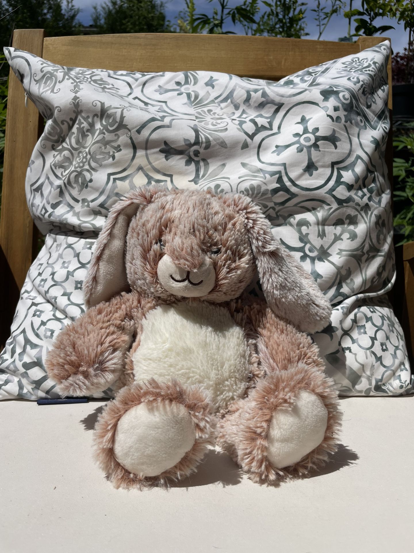 Fluffy Brown Bunny