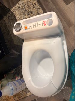 Fisher Price potty training