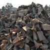 Firewood Lady