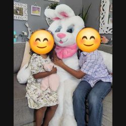 Teddygram Services