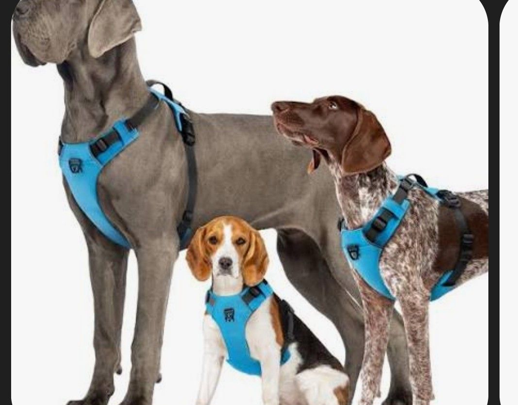 Dog Harness Leash Retractable Leash Fixed Leash Dog Chew Toys Bandana Bundle