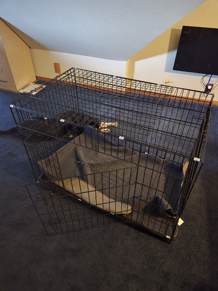 Dog Kennel