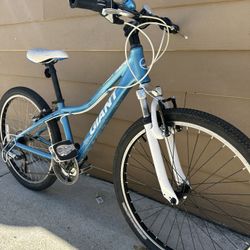 Aluminum Bike Giant Sz 24 