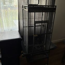 Bird Cage 