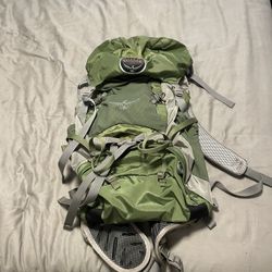 Large Osprey Backpack 