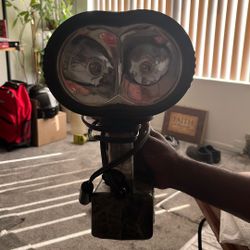 Vector Sport Spotlight