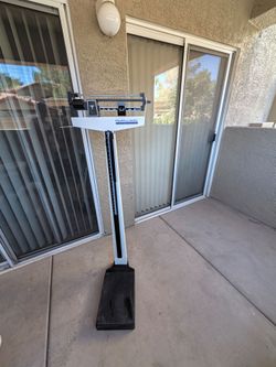 Professional Scale