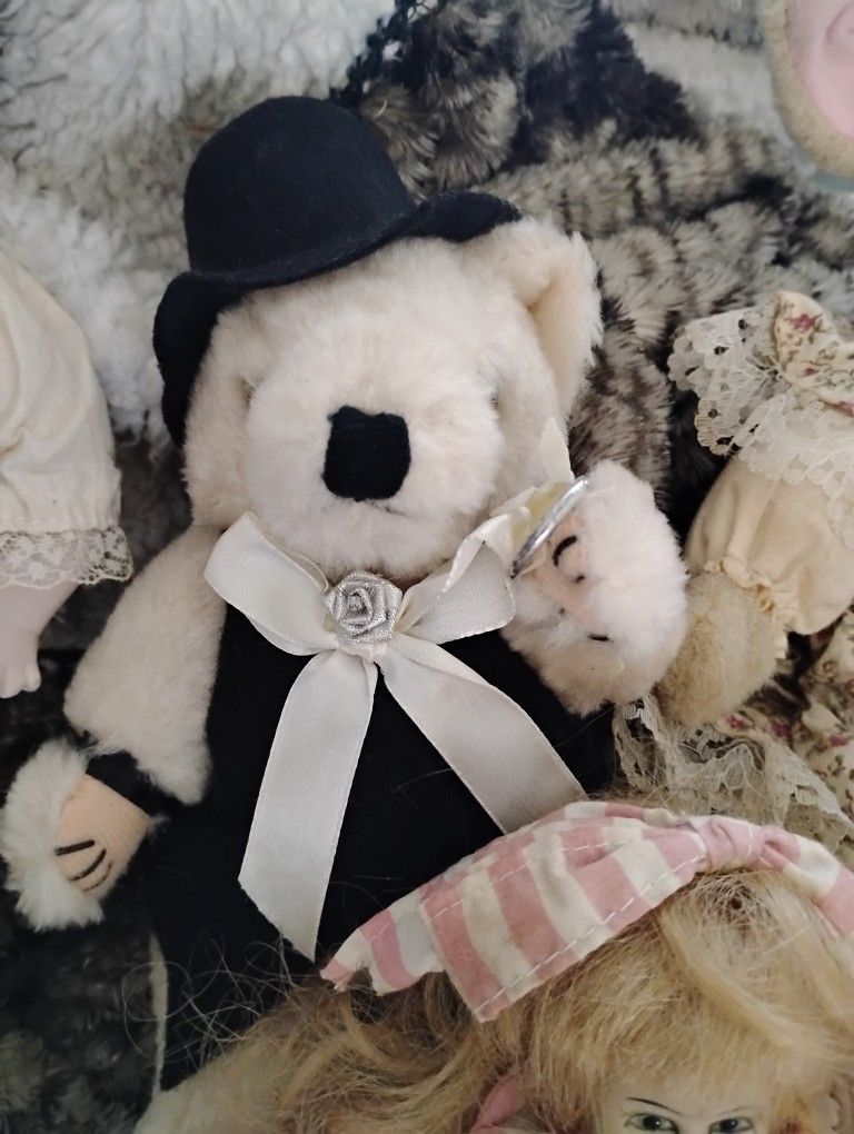 Black Top 🎩 Bear Vintage