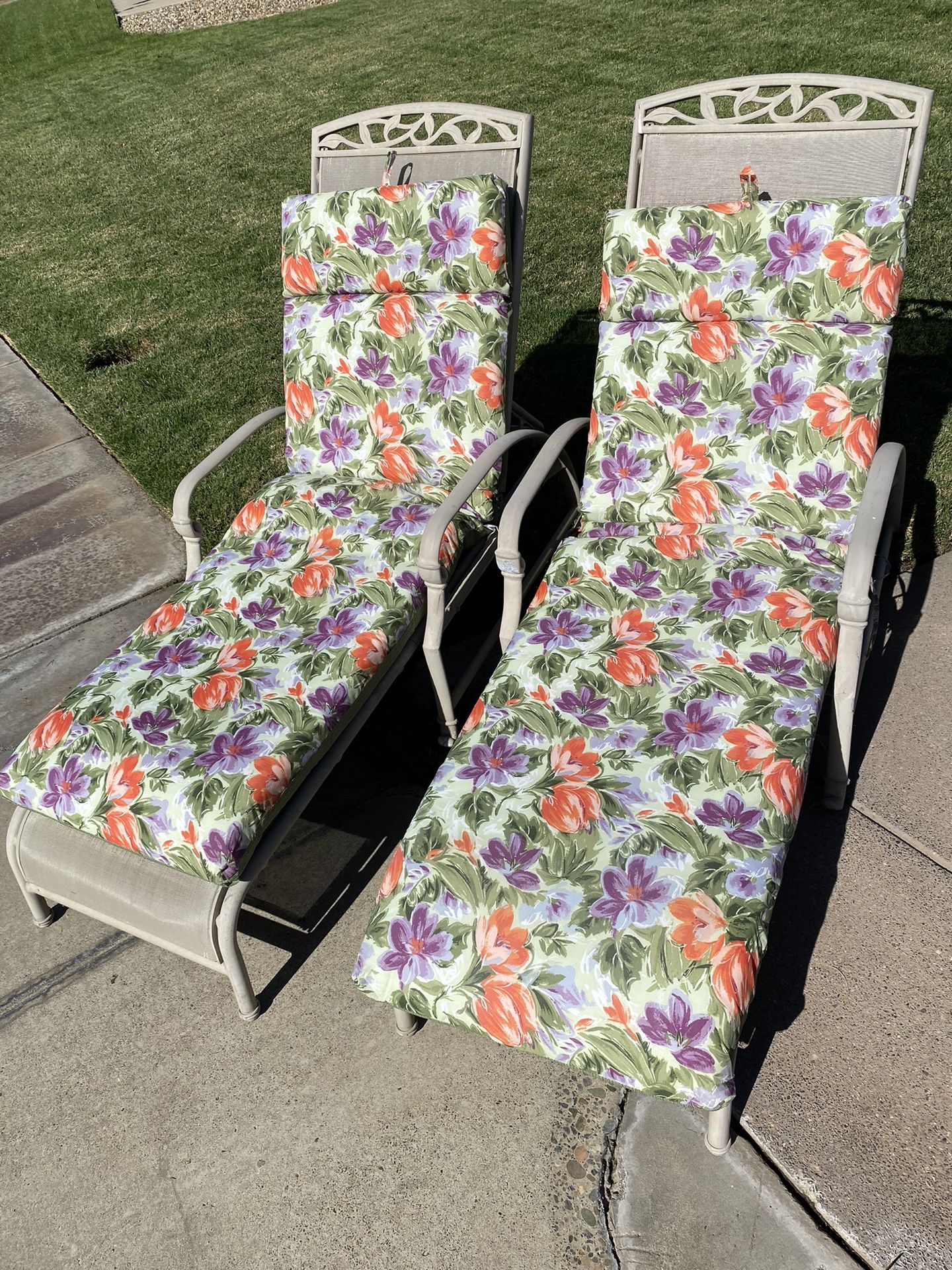 Lounge Chairs And Cushions