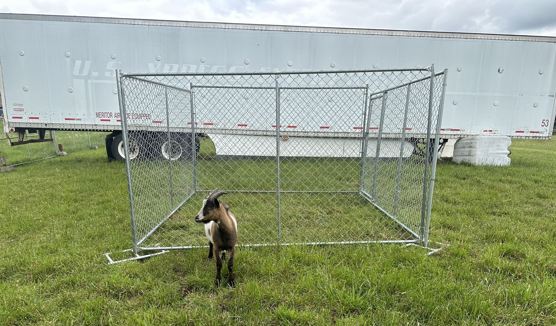 NEW Dog/ Animal Kennel 10by10 $650