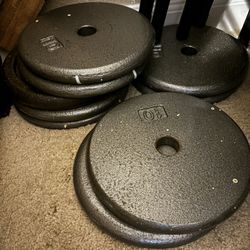 10 Pound Free Weight Plates , Dumb Bell Bars , Gym Workout Equip