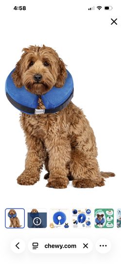 Inflatable Surgical Dog Collar- Large