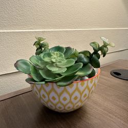 Artificial Succulent Potted Plant
