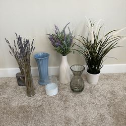 Various Flower Vases