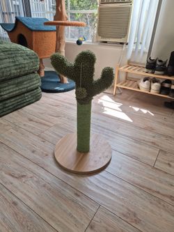 small cat scratcher