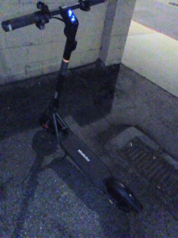 Electric Segway Scooter