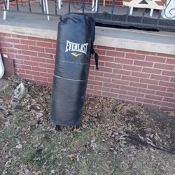 Hanging Punch Bag