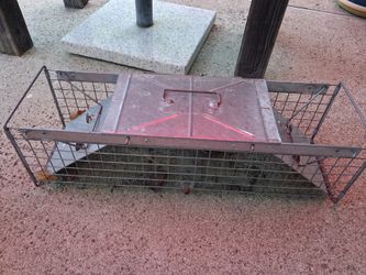 Live Animal Trap